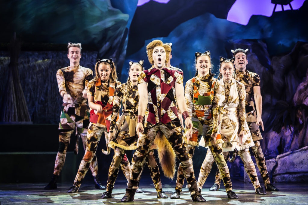 Kattenstreken verplaatsen zich naar Nederlandse en Vlaamse theaters