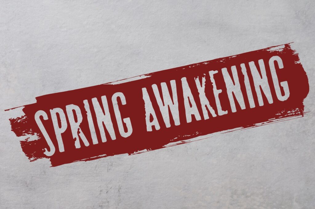 Musical 'Spring Awakening' al uitverkocht